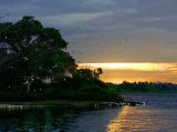 Yala National Park